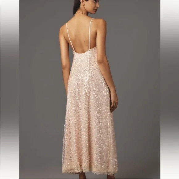 Anthropologie En Elly Sleeveless V-Neck Lace Sequin Slip Midi Dress - Picture 2 of 7